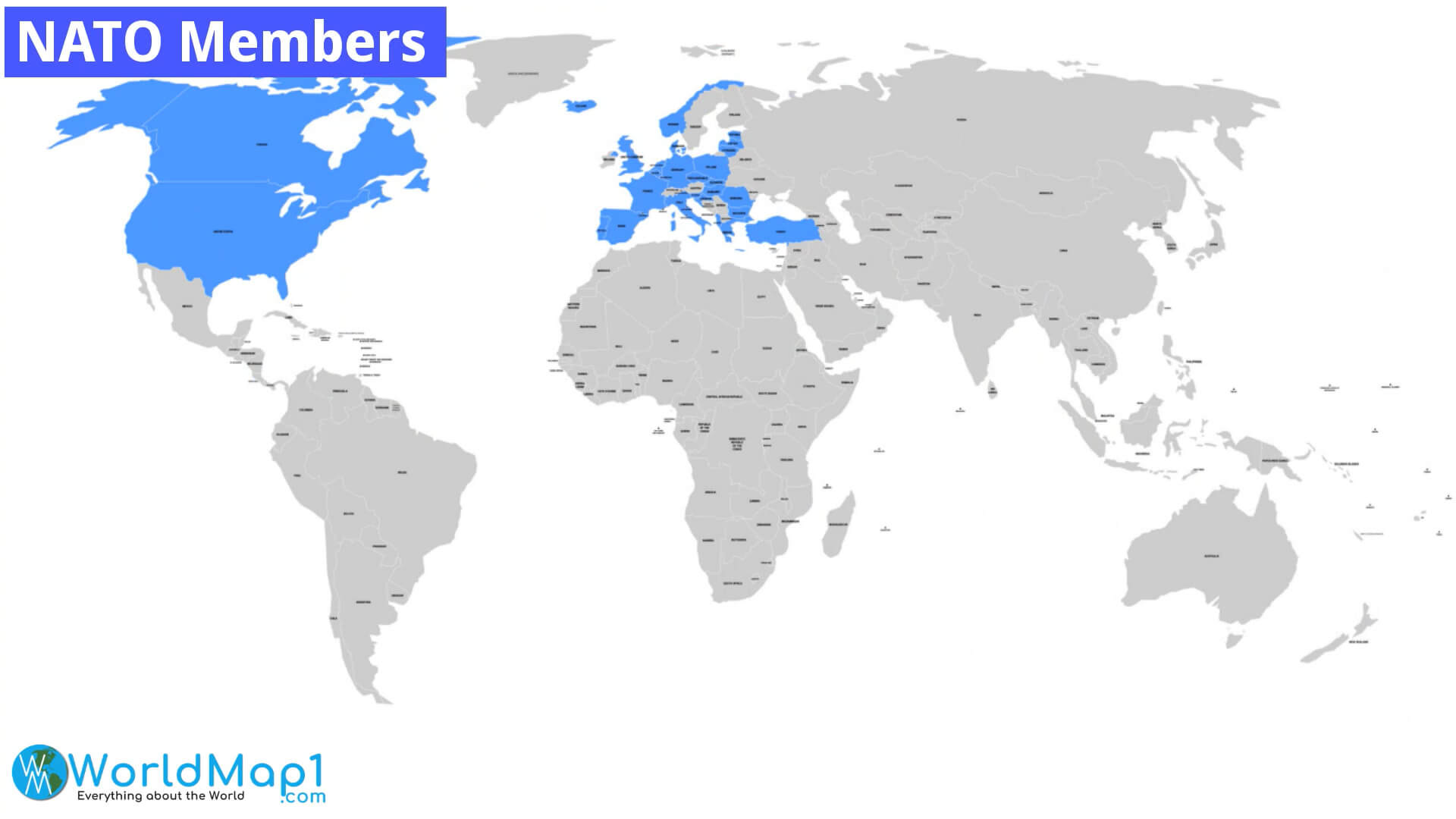 NATO Members Map with the World